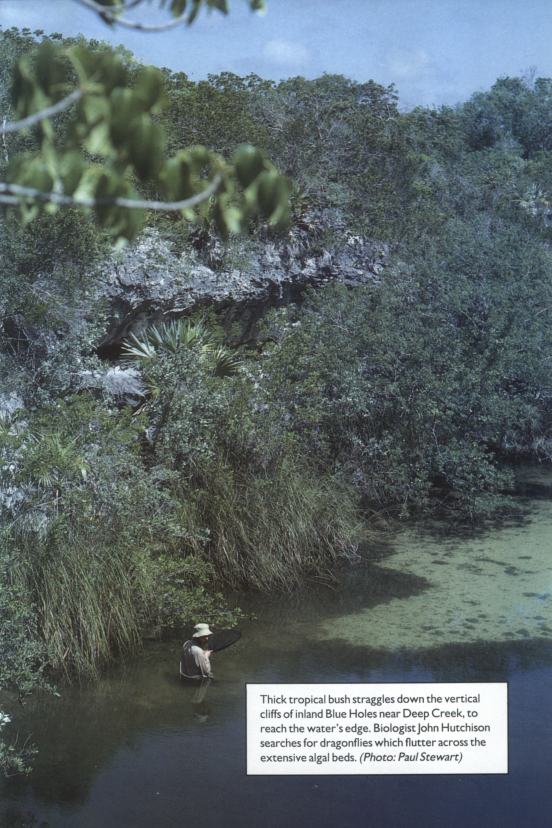 [Photo of scientist in blue hole]
